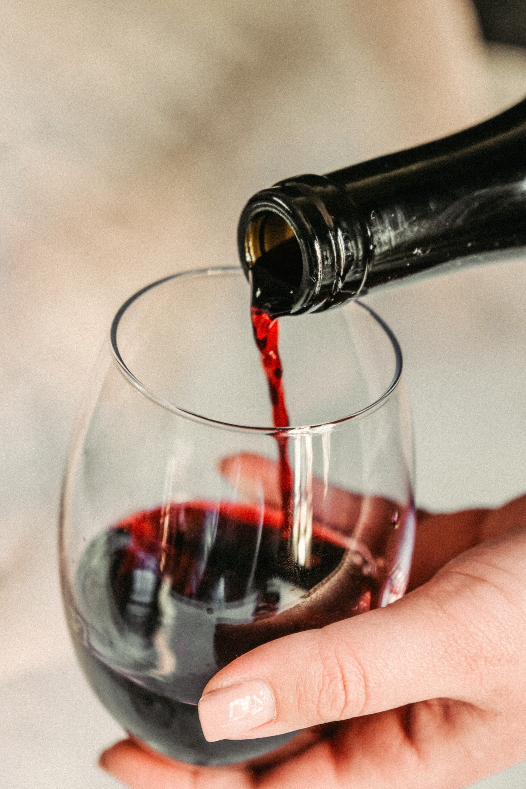 Die Klassiker: Rotweine aus der Region Bordeaux
